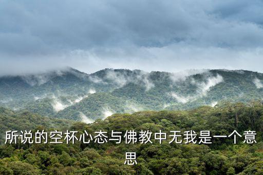 所說的空杯心態與佛教中無我是一個意思