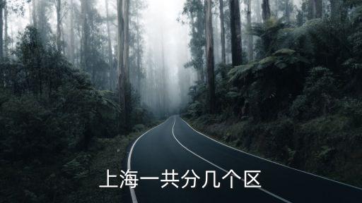 上海一共分幾個區