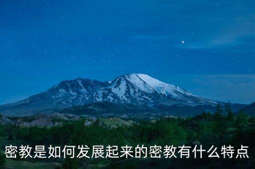 密教是如何發(fā)展起來的密教有什么特點(diǎn)