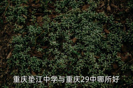 重慶墊江中學與重慶29中哪所好