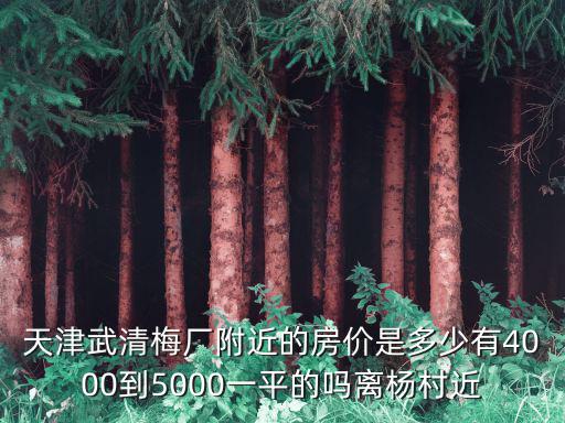天津武清梅廠附近的房?jī)r(jià)是多少有4000到5000一平的嗎離楊村近