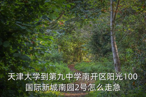 天津大學到第九中學南開區陽光100國際新城南園2號怎么走急