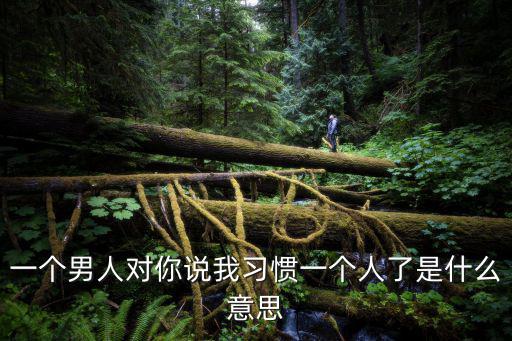 一個男人對你說我習(xí)慣一個人了是什么意思