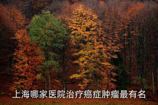 上海哪家醫(yī)院治療癌癥腫瘤最有名