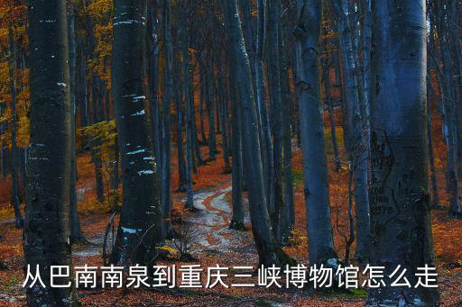 重慶市巴南知青博物館，從巴南南泉到重慶三峽博物館怎么走