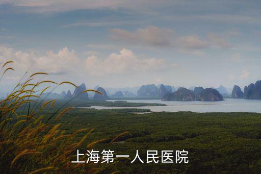 上海第一人民醫(yī)院