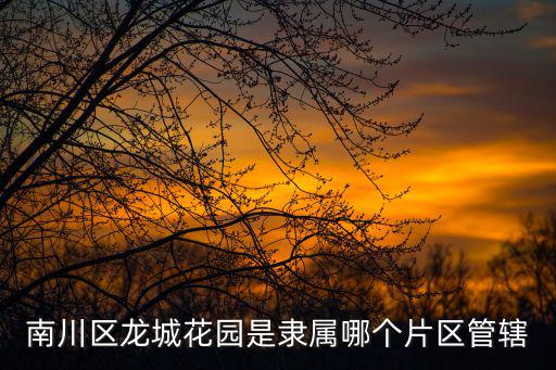 南川區龍城花園是隸屬哪個片區管轄