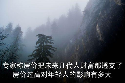 專家稱房?jī)r(jià)把未來幾代人財(cái)富都透支了房?jī)r(jià)過高對(duì)年輕人的影響有多大
