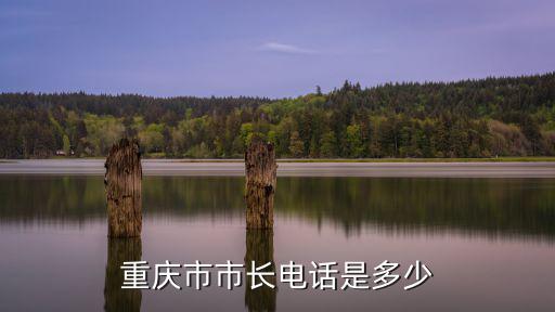 重慶市民免費發放口罩，重慶市市長投訴信箱我是一名退役軍人在一家私營企業重慶九龍坡