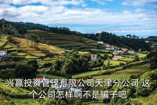 興贏投資管理有限公司天津分公司 這個公司怎樣啊不是騙子吧