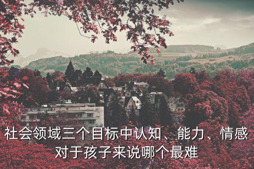 社會領域三個目標中認知、能力、情感對于孩子來說哪個最難