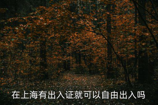 在上海有出入證就可以自由出入嗎