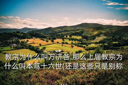 教宗為什么叫方濟各,那么上屆教宗為什么叫本篤十六世(還是這些只是別稱...