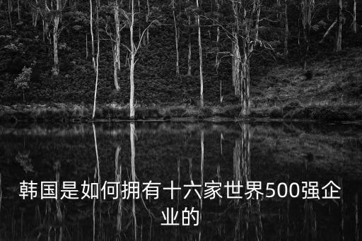 韓國是如何擁有十六家世界500強企業的
