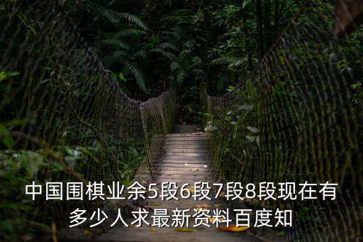 中國上海市業(yè)余6段名單，圍棋業(yè)余六段有東藝盛的董習杰么