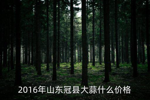 山東冠縣如何查房價，2016年山東冠縣大蒜什么價格