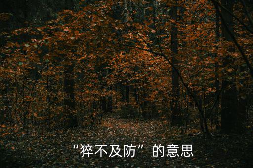 “猝不及防”的意思