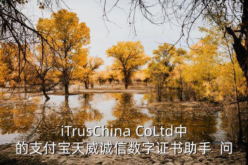 成都市公共資源交易網天威園區，iTrusChina CoLtd中的支付寶天威誠信數字證書助手  問