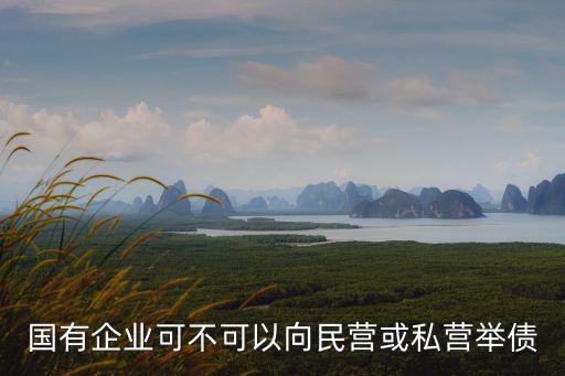 國有企業(yè)可不可以向民營或私營舉債