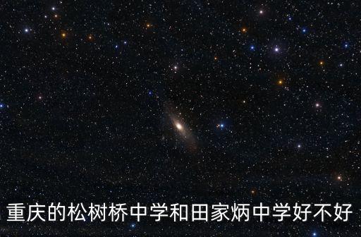 重慶的松樹橋中學(xué)和田家炳中學(xué)好不好