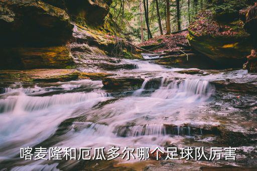 喀麥隆和厄瓜多爾哪個足球隊厲害
