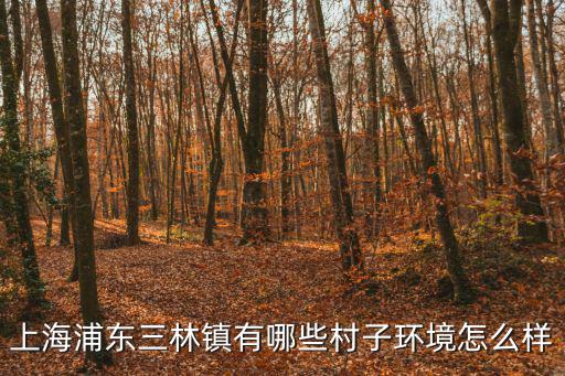 上海浦東三林鎮有哪些村子環境怎么樣