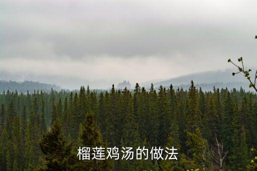 榴蓮煲雞湯的做法,榴蓮煲雞湯的做法（1）