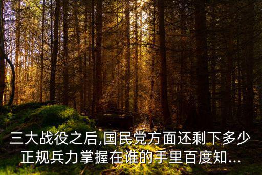 余漢謀,國民黨剩145萬正規軍部署在長江以北