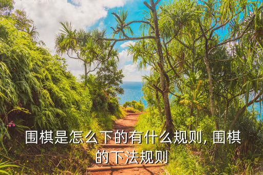  圍棋是怎么下的有什么規則, 圍棋的下法規則