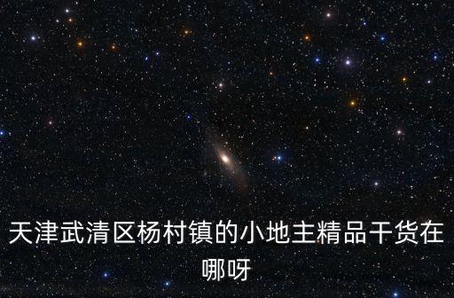 天津市武清區道德模范評選，天津市武清又叫什么大地