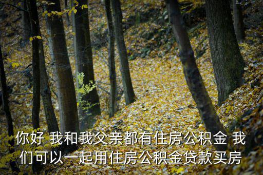 你好 我和我父親都有住房公積金 我們可以一起用住房公積金貸款買房