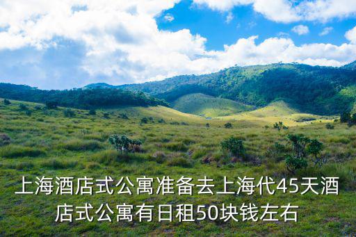 上海酒店式公寓準(zhǔn)備去上海代45天酒店式公寓有日租50塊錢左右