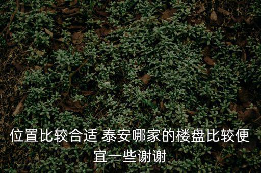 位置比較合適 泰安哪家的樓盤比較便宜一些謝謝