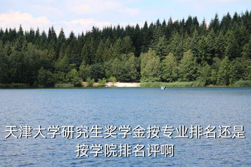 天津大學(xué)研究生獎學(xué)金按專業(yè)排名還是按學(xué)院排名評啊