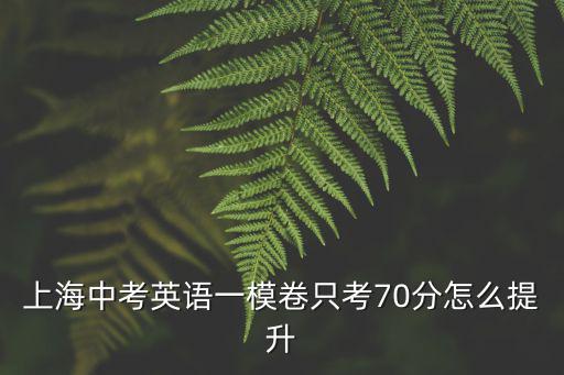 上海中考英語一模卷只考70分怎么提升