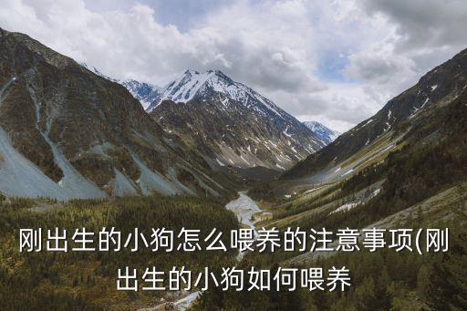 剛出生的小狗怎么喂養的注意事項(剛出生的小狗如何喂養