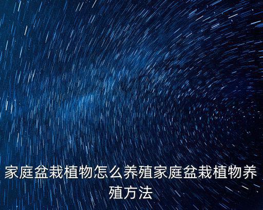 家庭盆栽植物怎么養殖家庭盆栽植物養殖方法