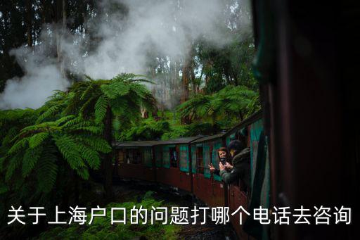 關于上海戶口的問題打哪個電話去咨詢