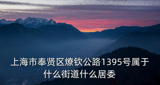 上海市奉賢區(qū)燎欽公路1395號(hào)屬于什么街道什么居委