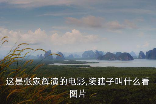這是張家輝演的電影,裝瞎子叫什么看圖片