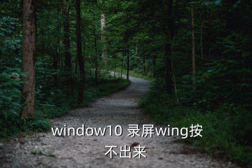  window10 錄屏wing按不出來