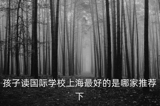 孩子讀國際學校上海最好的是哪家推薦下