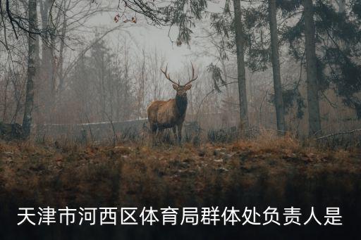 天津市體育局領導工作分工，胡文容的工作分工