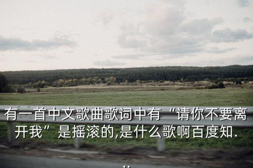 你不要離開我,請你不要離開我我的情人請你抱緊我
