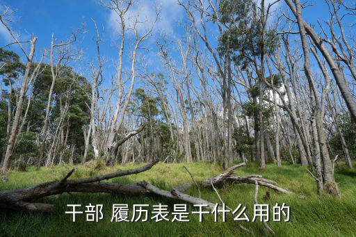 履歷表,干部履歷表的用處在于:求職時(shí)常用
