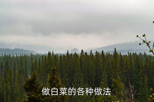 做白菜的各種做法