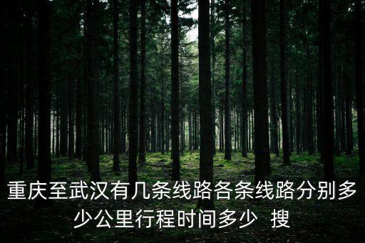 重慶至武漢有幾條線路各條線路分別多少公里行程時間多少  搜