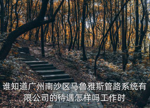 誰知道廣州南沙區(qū)馬魯雅斯管路系統(tǒng)有限公司的待遇怎樣嗎工作時