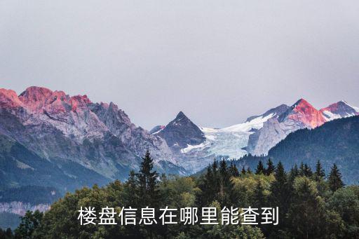 樓盤信息在哪里能查到