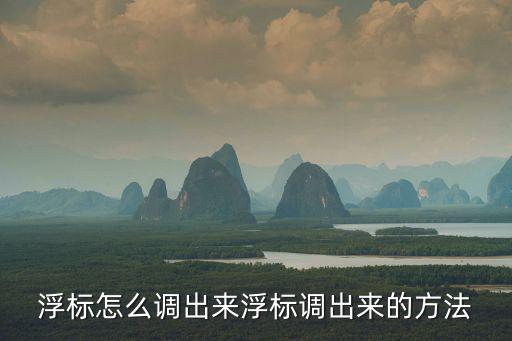 浮標怎么調出來浮標調出來的方法